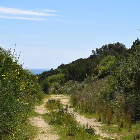 Azzurra Tra Le Coste Del Sud Villa