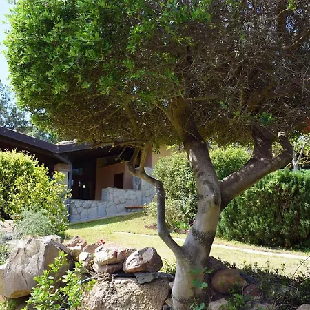 Villa Azzurra Tra Le Coste Del Sud *