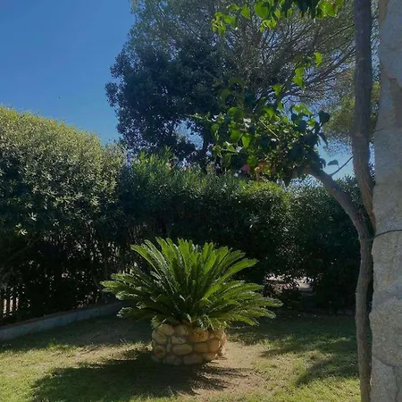 Azzurra Tra Le Coste Del Sud Villa *